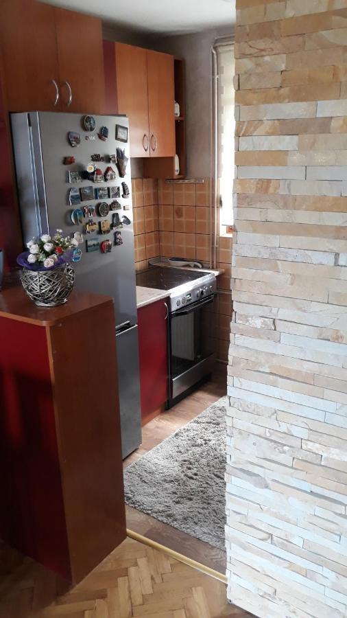 Apartment Niva Златибор Екстер'єр фото