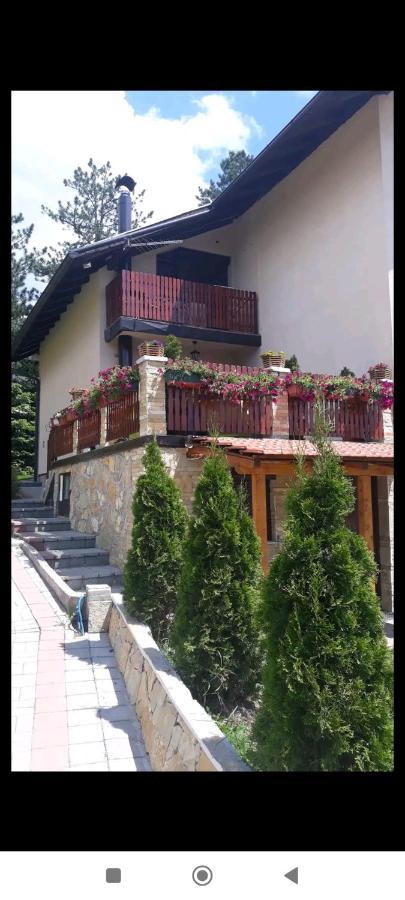 Apartment Niva Златибор Екстер'єр фото