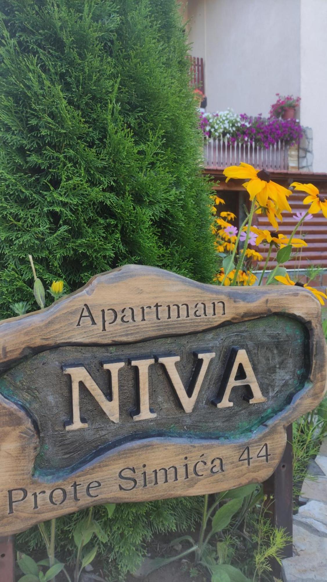 Apartment Niva Златибор Екстер'єр фото